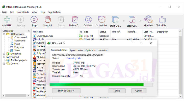 download IDM Bagas31