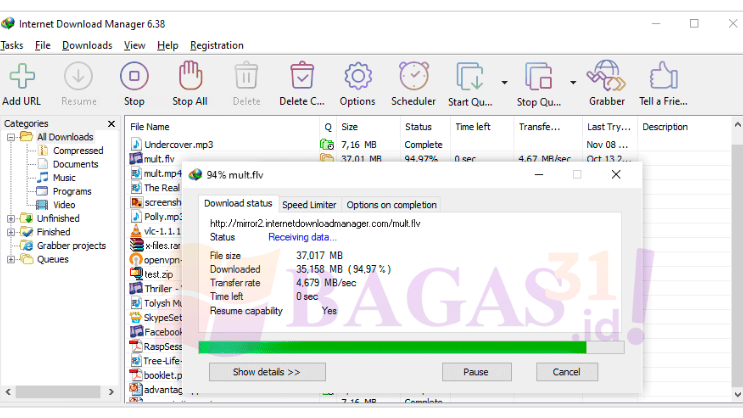 download IDM internet manager 27