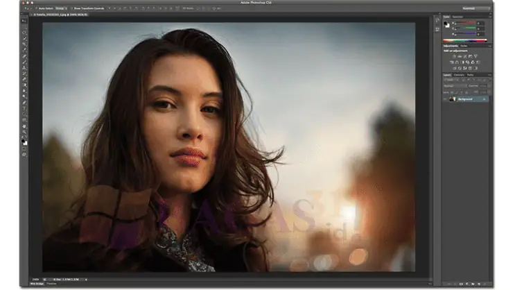 Download Adobe Photoshop CS6 Bagas31